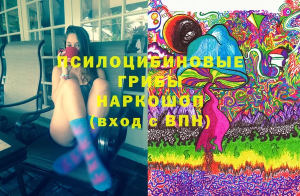 прущая мука Алзамай