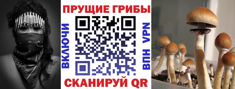 Галлюциногенные грибы прущие грибы  где купить   Бологое 